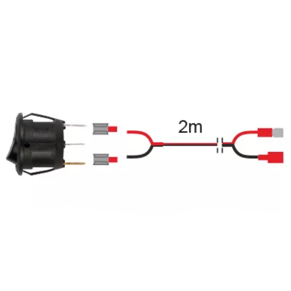 Auxiliary light switch