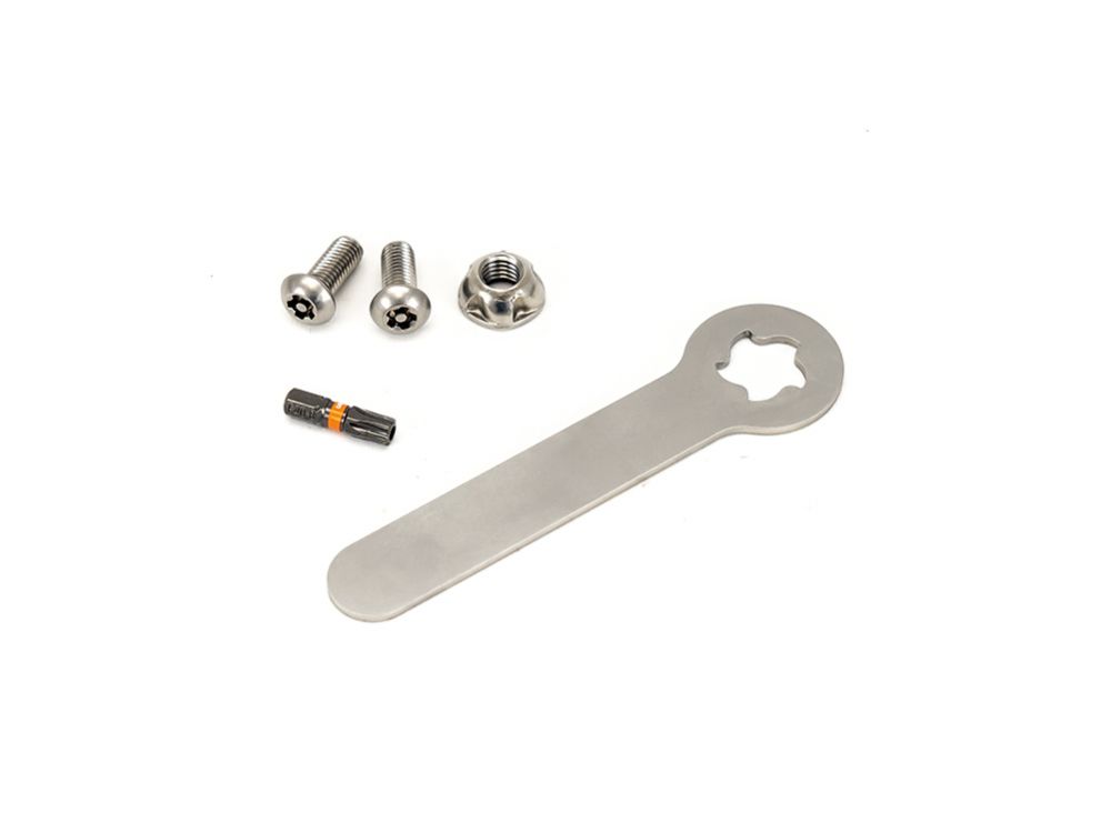 Anti-theft bolts Sentinel