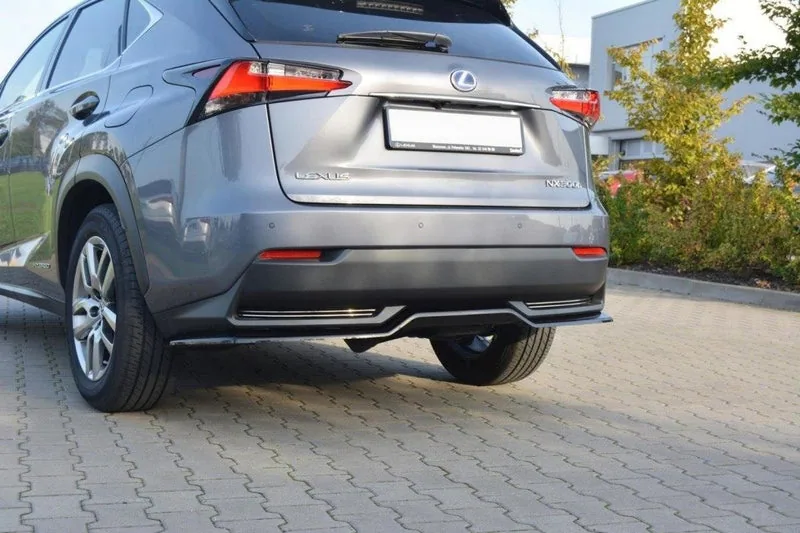 Tagasplitter — Lexus NX Mk1 H (without vertical bars) (2014–2017)
